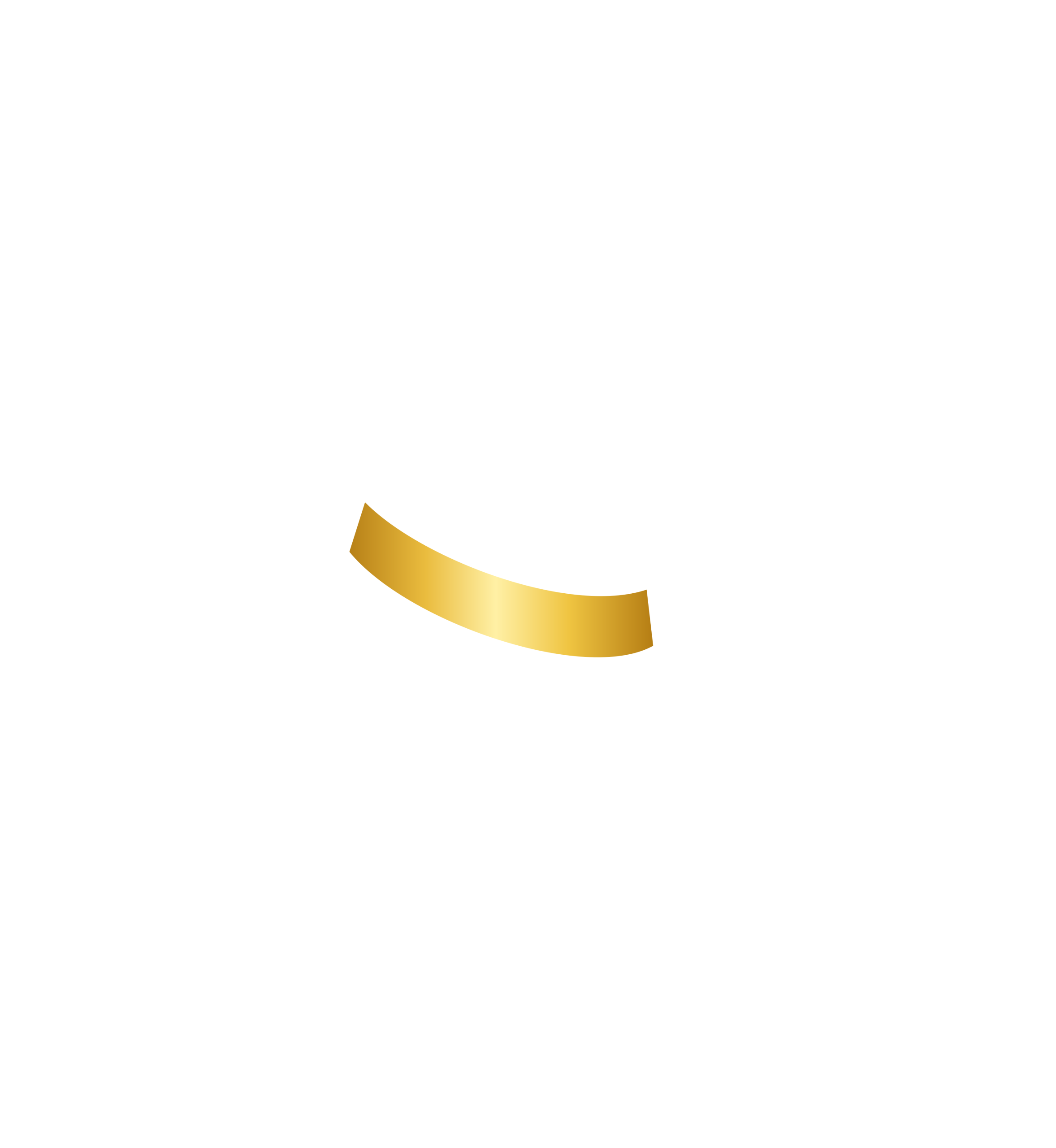 The Daily Dog Walking & Training